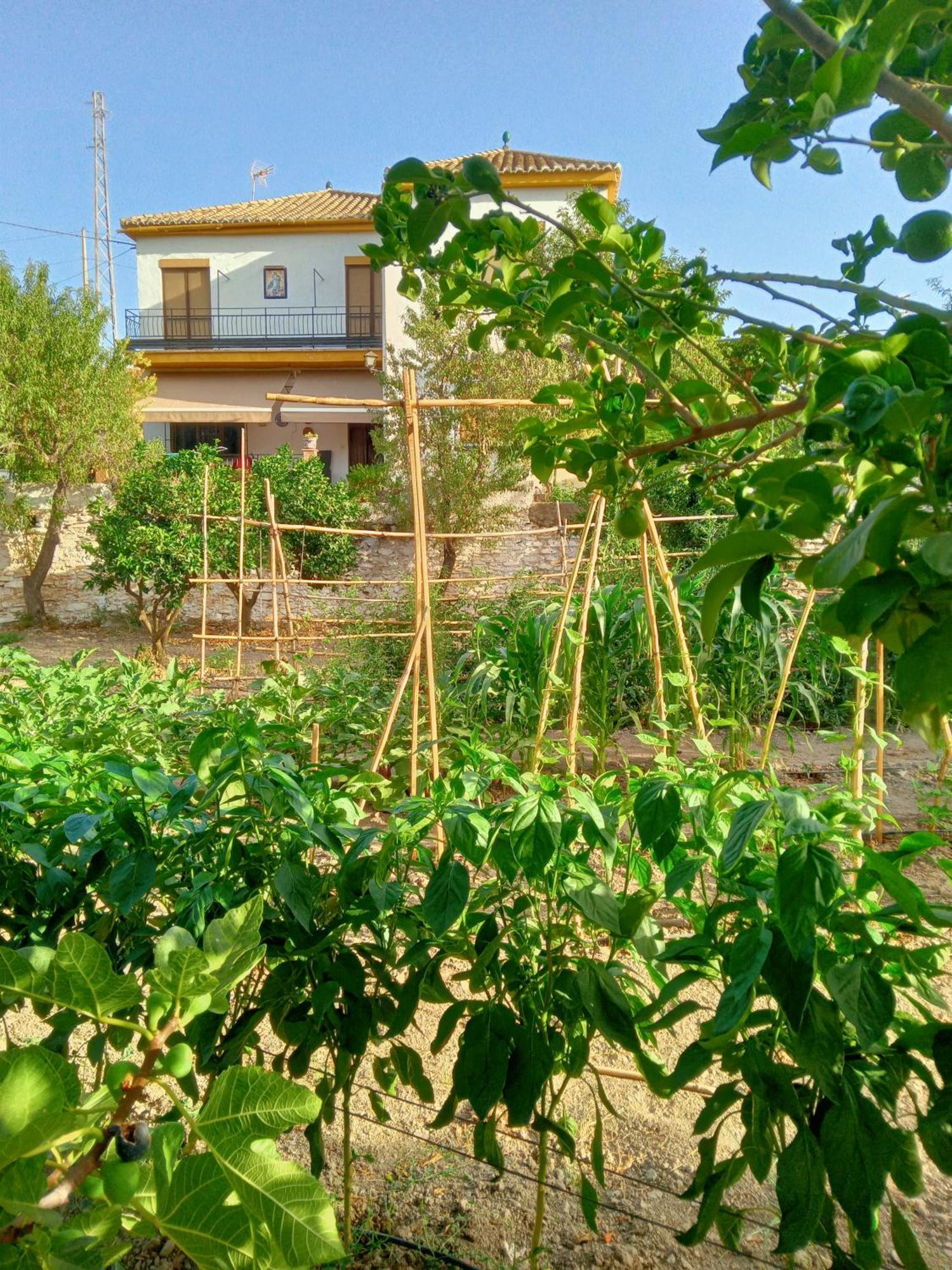 הוילה Ugijar Tuguest Hortichuela House מראה חיצוני תמונה