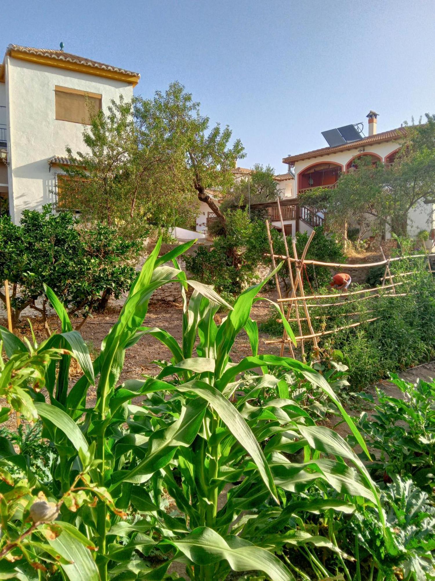 הוילה Ugijar Tuguest Hortichuela House מראה חיצוני תמונה